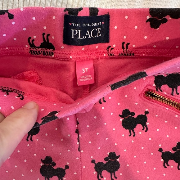 Poodle Sweater and Legging Set Size 3T - Picture 2 of 7